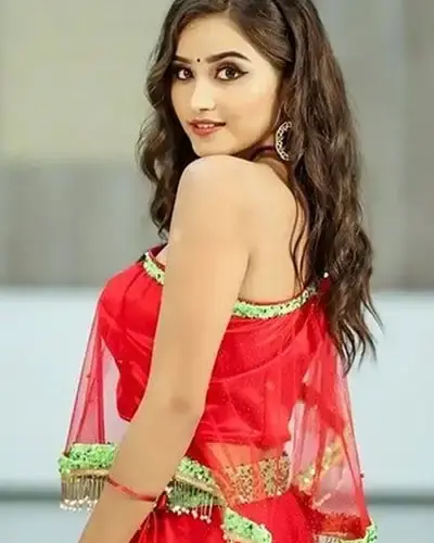 Escort In Visnagar
